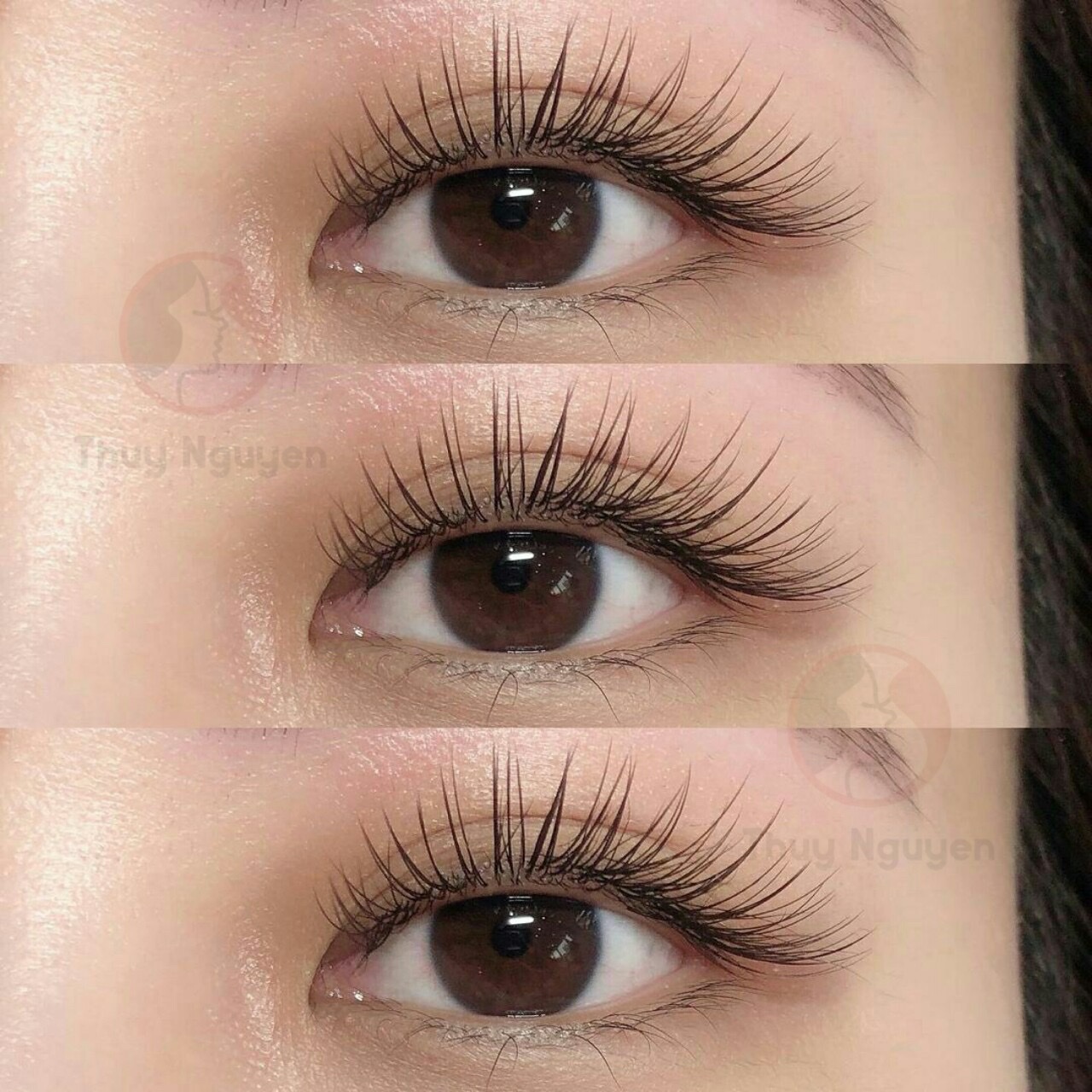 Các kiểu nối mi đang thịnh hành nhất – Bạn đã biết chưa? -  Thuynguyenbeauty.com
